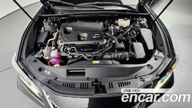 Lexus ES300h 7세대 Luxury Plus, 2023 6