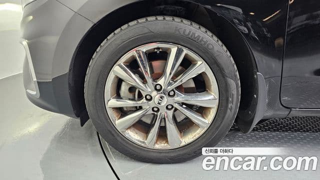 Kia The / новый New Carnival Noblesse, 2019 все фото