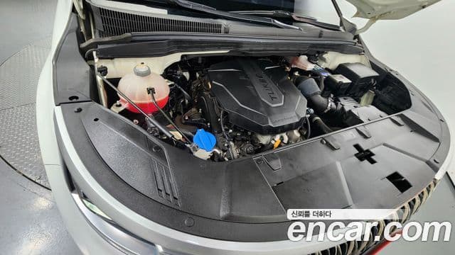 Kia Carnival 4세대 Prestige, 2021 6