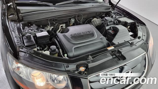 Hyundai Santa Fe CM Deluxe, 2010 6