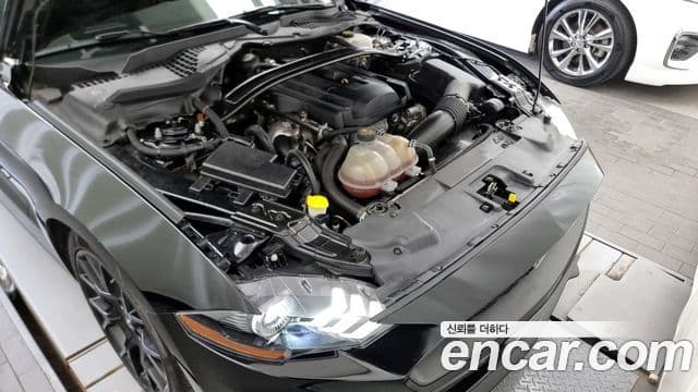 Ford Mustang кабриолет, 2019 6