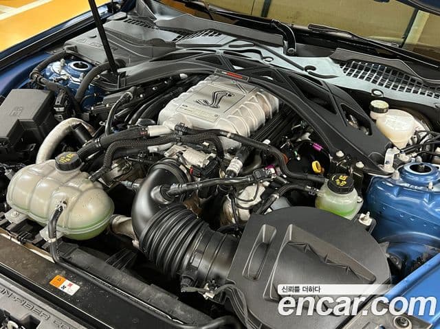 Ford Mustang Shelby GT500 купе, 2020 16