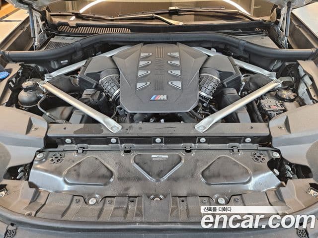 BMW X7 (G07) M60i xDrive M Sport 6인승, 2024 16