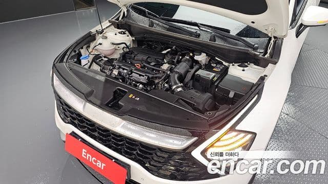 Kia Sportage 5세대 Signature, 2023 6