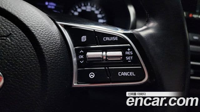 Kia Seltos Noblesse, 2020 19