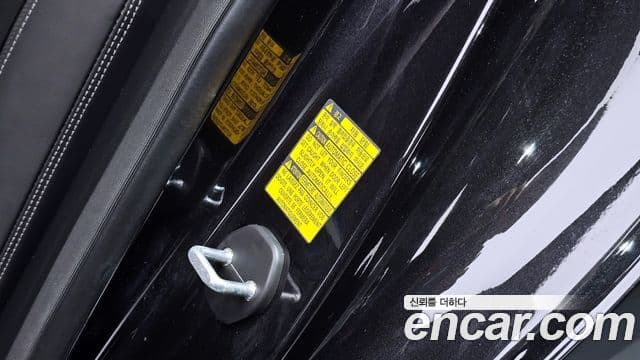 Genesis G90 Premium Luxury, 2019 19