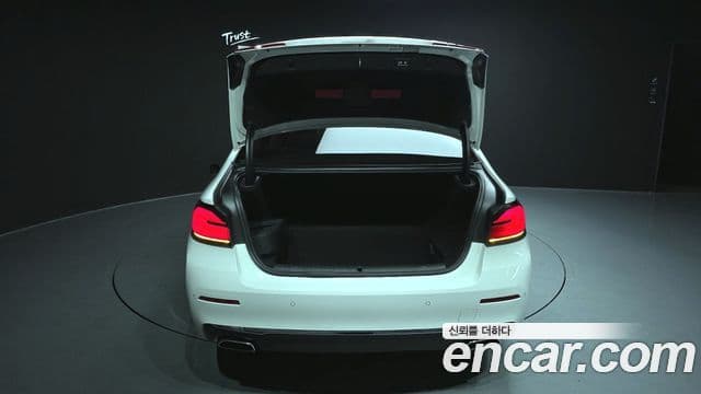 BMW 5시리즈 (G30) Luxury, 2021 20