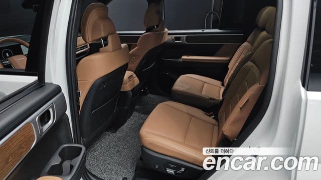 Hyundai Santa Fe (MX5) Calligraphy, 2024 12