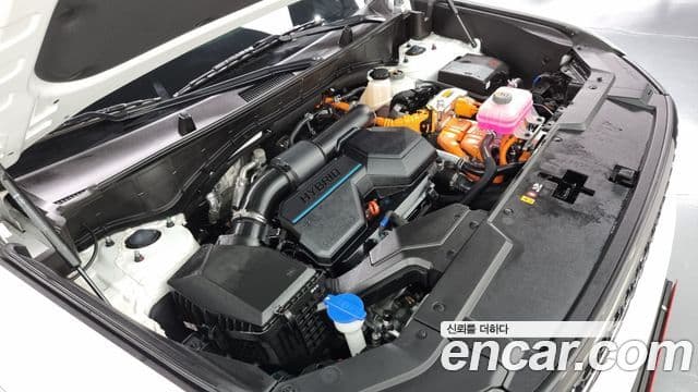 Hyundai Santa Fe (MX5) Calligraphy, 2024 6