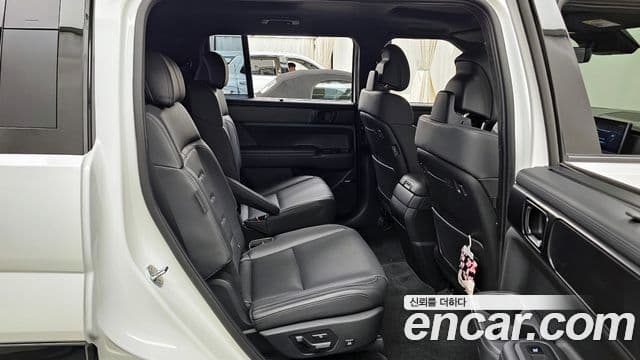 Hyundai Santa Fe (MX5) Calligraphy, 2024 12