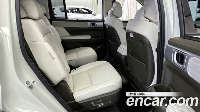 Hyundai Santa Fe (MX5) Calligraphy, 2024 12