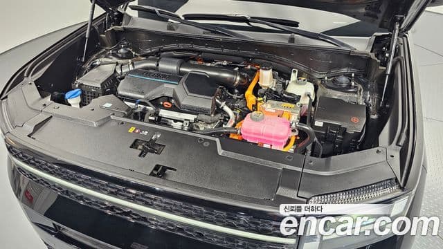 Hyundai Santa Fe (MX5) Calligraphy, 2024 6