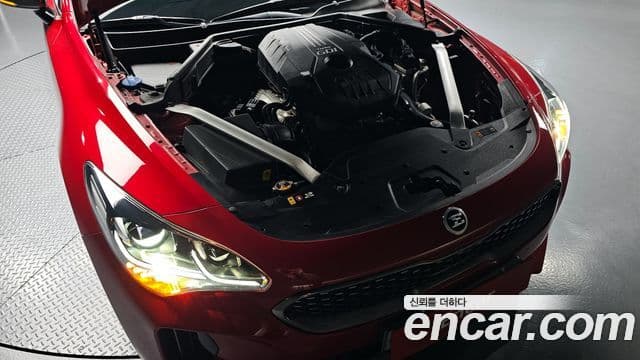 Kia 스팅어 Platinum, 2019 6