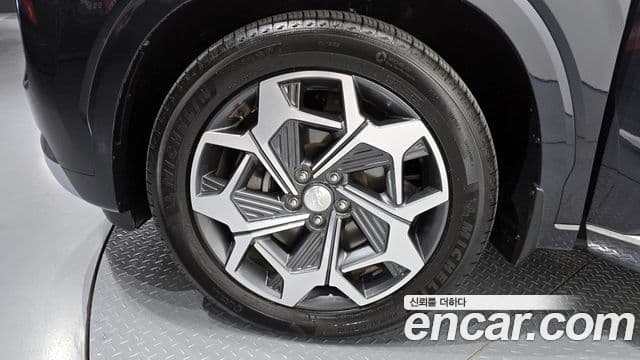 Hyundai Palisade Calligraphy, 2022 все фото