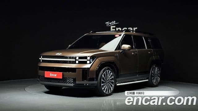 Hyundai Santa Fe (MX5) Calligraphy, 2024 1