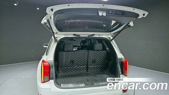 Hyundai Palisade VIP, 2022 20