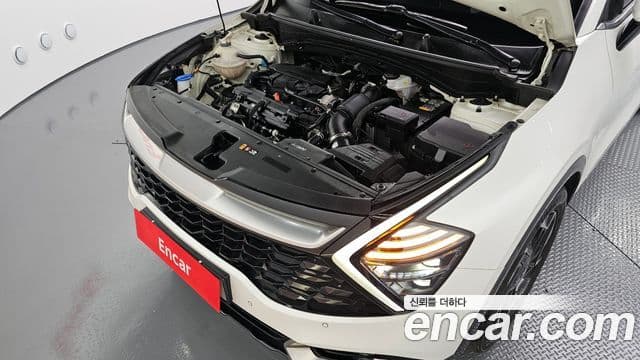Kia Sportage 5세대 Signature, 2022 6