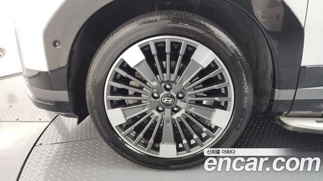 Hyundai Santa Fe (MX5) Calligraphy, 2024 все фото