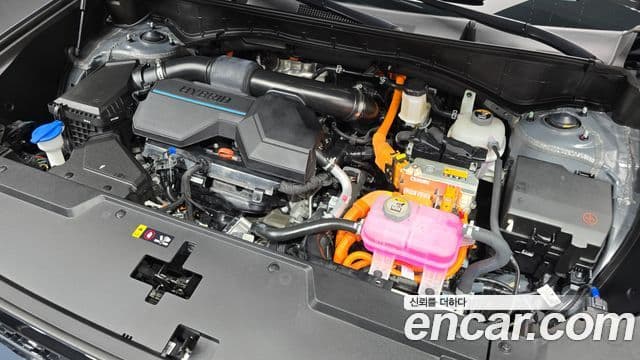 Hyundai Santa Fe (MX5) Calligraphy, 2024 6