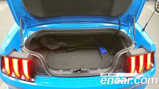 Ford Mustang GT кабриолет, 2022 20