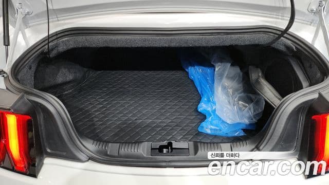 Ford Mustang GT кабриолет, 2021 20