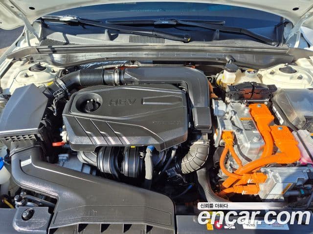 Kia The / новый New K5 гибрид 3세대 Signature, 2023 7