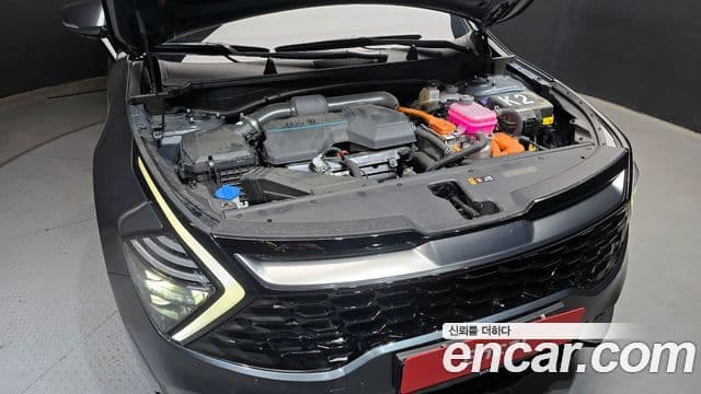 Kia Sportage 5세대 гибрид Noblesse 2WD, 2023 6