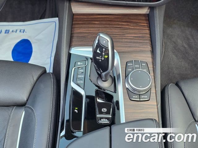 BMW 5시리즈 (G30) Luxury, 2022 12