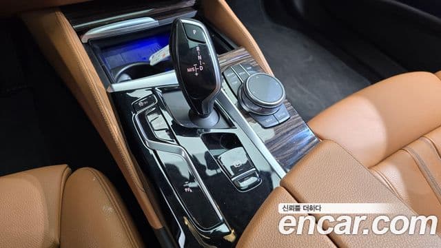 BMW 5시리즈 (G30) Luxury, 2023 9