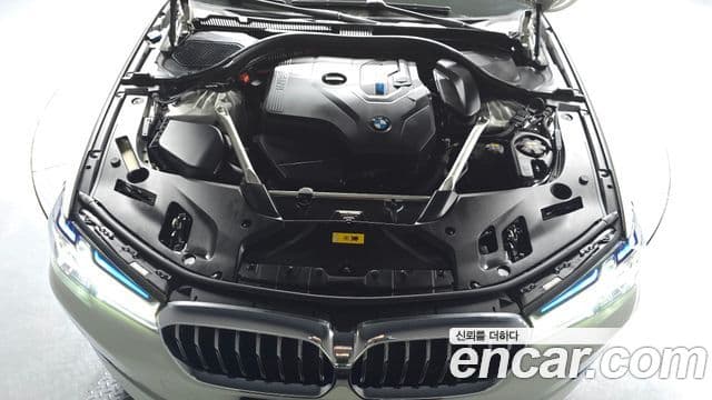 BMW 5시리즈 (G30) Luxury, 2021 6