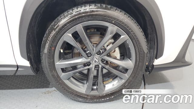 Lexus NX350h 2세대 Premium, 2023 все фото