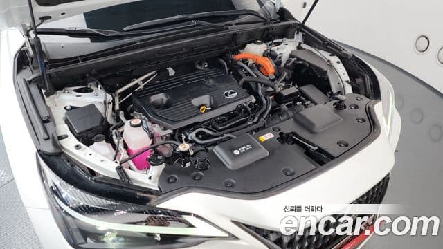 Lexus NX350h 2세대 Premium, 2023 6