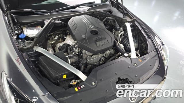 Kia 스팅어 Platinum, 2020 6