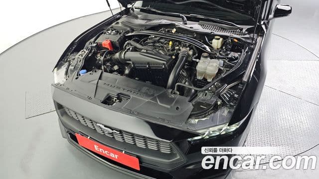 Ford Mustang 7세대 2.3 EcoBoost Premium кабриолет, 2024 6