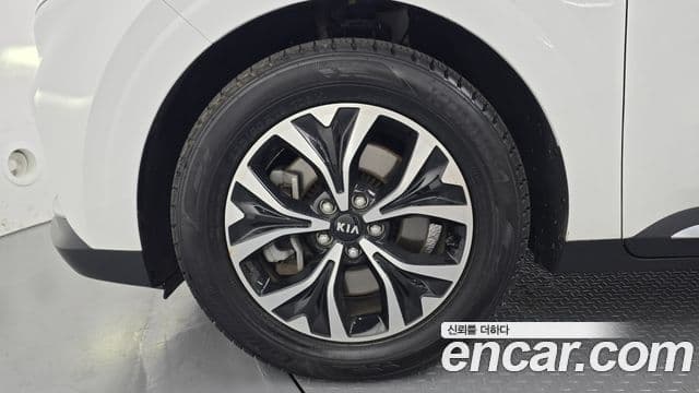 Kia Carnival 4세대 Noblesse, 2021 все фото