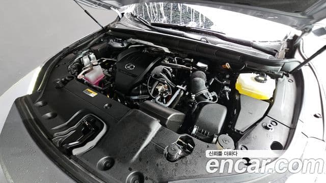 Lexus RX500h 5세대 F-Sport, 2023 6