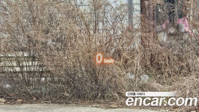 BMW 5시리즈 (F10), 2010 13