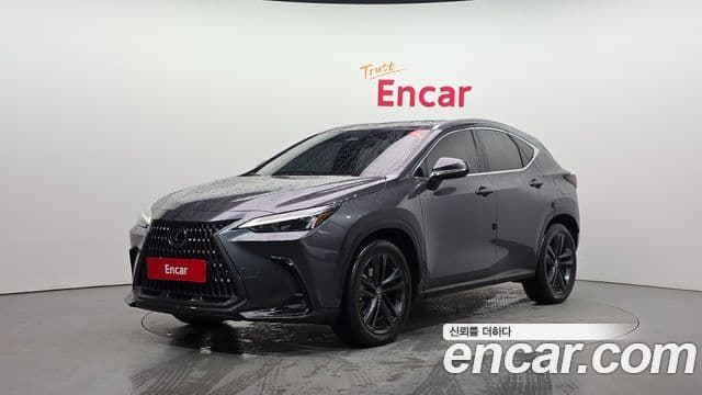 Lexus NX350h 2세대 Premium, 2024 1