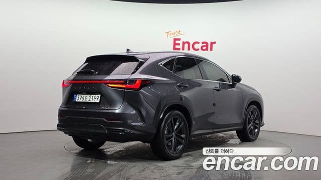 Lexus NX350h 2세대 Premium, 2024 2