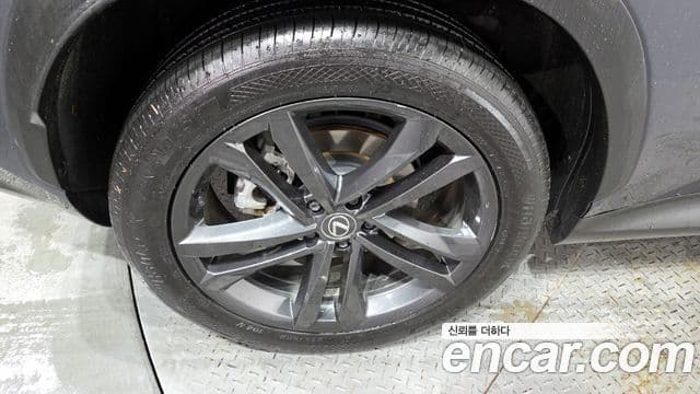 Lexus NX350h 2세대 Premium, 2024 все фото