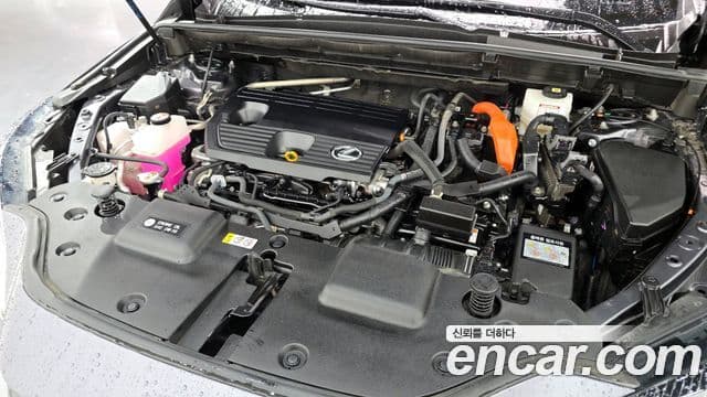 Lexus NX350h 2세대 Premium, 2024 6