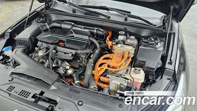 Kia K8 гибрид Noblesse, 2022 6