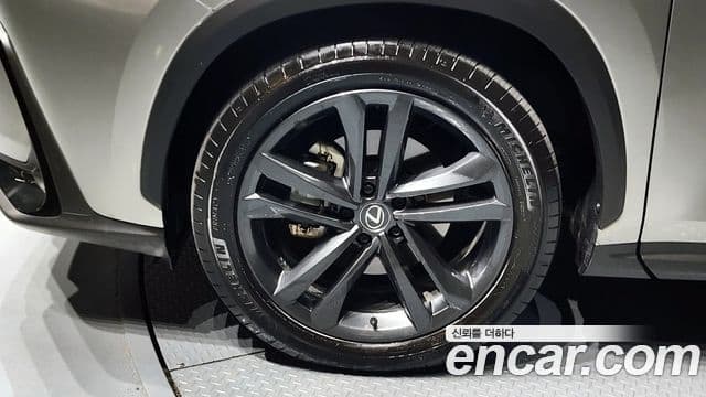 Lexus NX350h 2세대 Premium, 2025 все фото