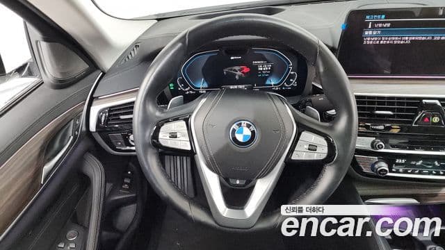 BMW 5시리즈 (G30) Luxury, 2022 13