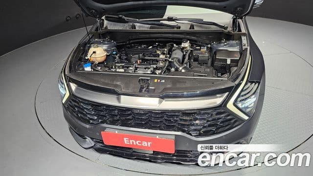 Kia Sportage 5세대 Signature, 2022 6
