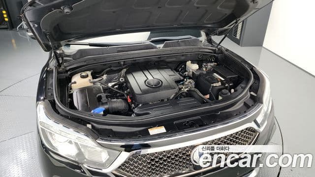 KG모빌리티(SsangYong) G4 Rexton Eurasia Edition, 2018 6