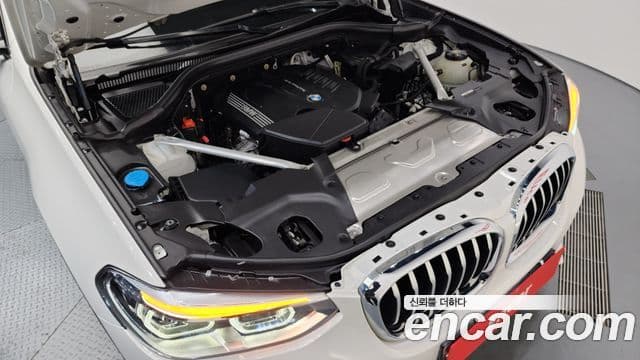 BMW X4 (G02) xDrive20d xLine, 2020 6