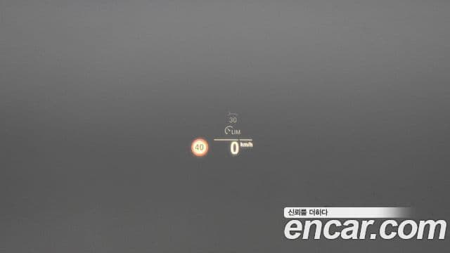 BMW X4 (G02) xDrive20d xLine, 2020 14