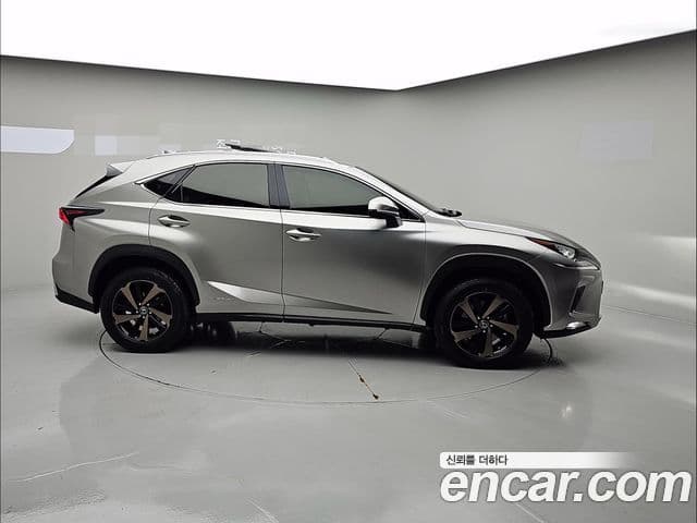 Lexus NX300h Executive, 2021 3