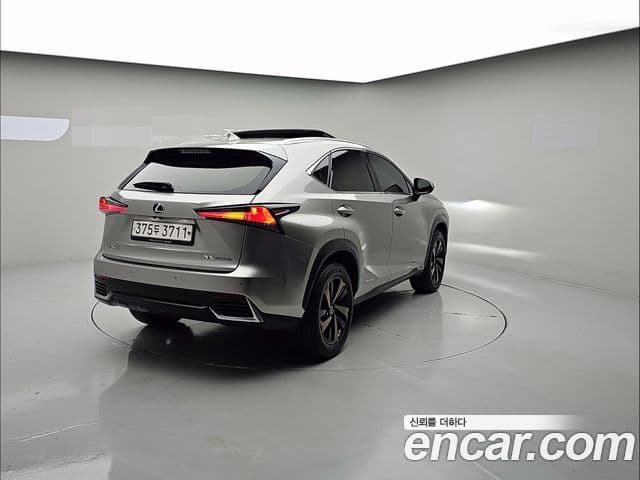 Lexus NX300h Executive, 2021 4